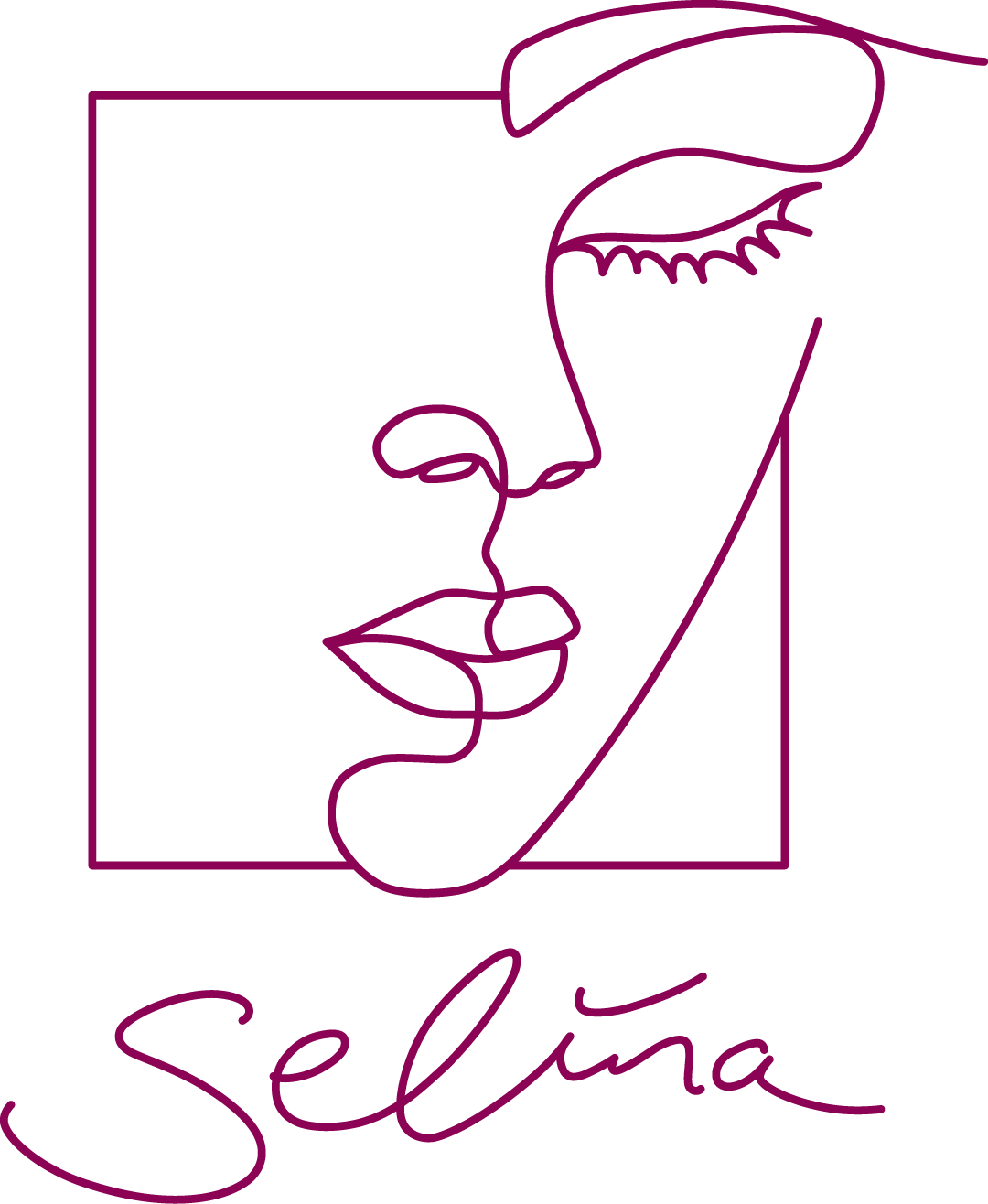 Aesthetics by Selina Sturm